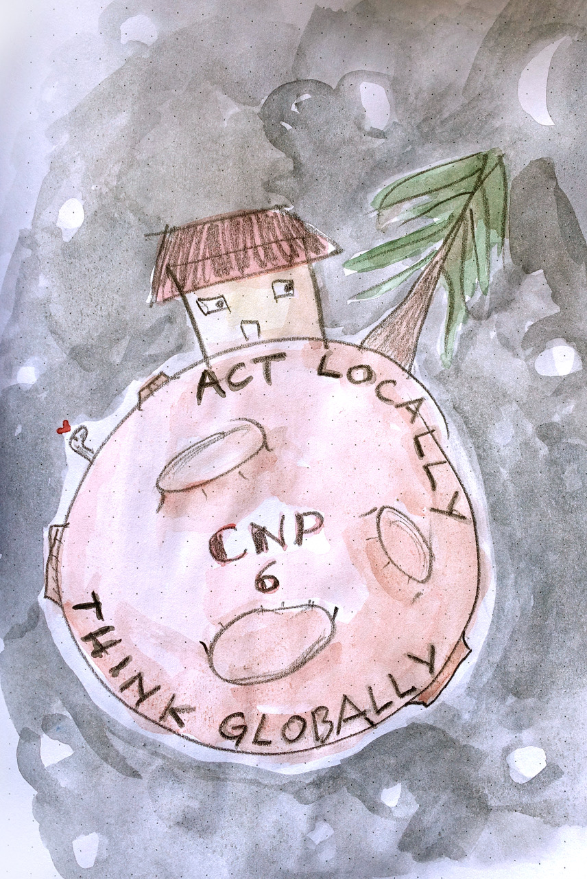 cnp6 poster